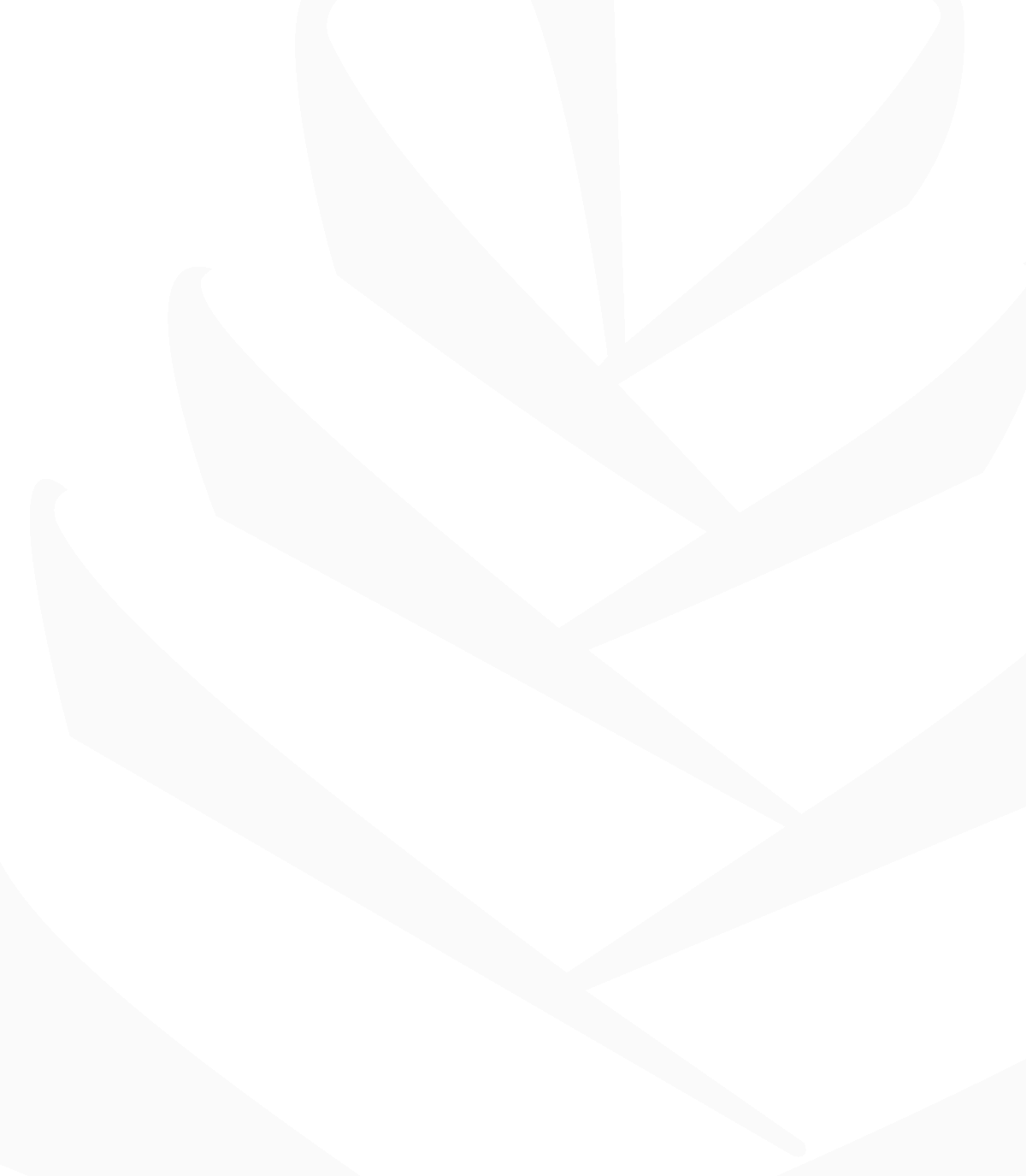 Piedmont Leaf